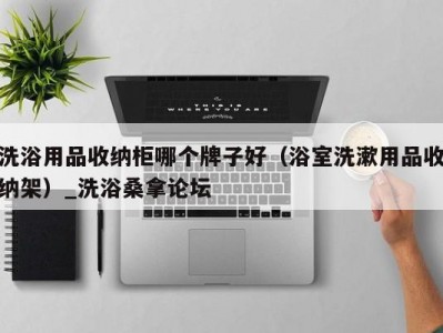 南京洗浴用品收纳柜哪个牌子好（浴室洗漱用品收纳架）_洗浴桑拿论坛