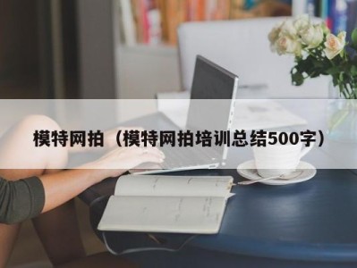 南京模特网拍（模特网拍培训总结500字）