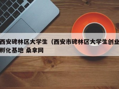 南京西安碑林区大学生（西安市碑林区大学生创业孵化基地 桑拿网