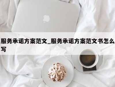 南京服务承诺方案范文_服务承诺方案范文书怎么写 